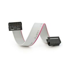 20cm 10 Pin IDC Flat Kablo