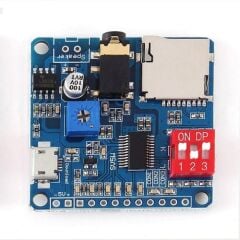 DY-SV5W MP3 Modül