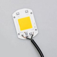 220V 50W Power Led Warm White