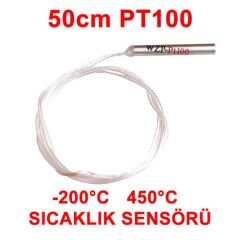 PT100 Sıcaklık Sensörü 50cm