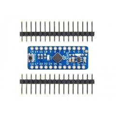Adafruit ATSAMD09 Breakout