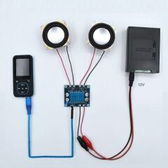 TPA3110 Modül