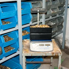 Pce Dijital Terazi PCE-PCS 30
