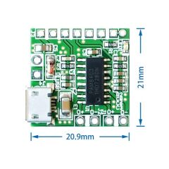 PAM8403 2x3w Amfi Micro Usb